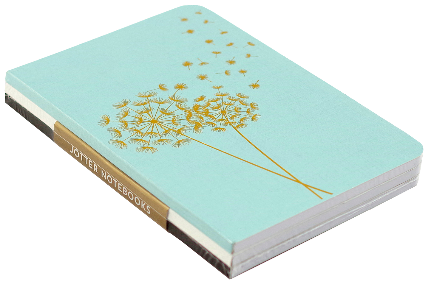 Jotter Mini Notebooks: Dandelion Wishes
