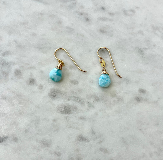 Larimar mini disc earrings