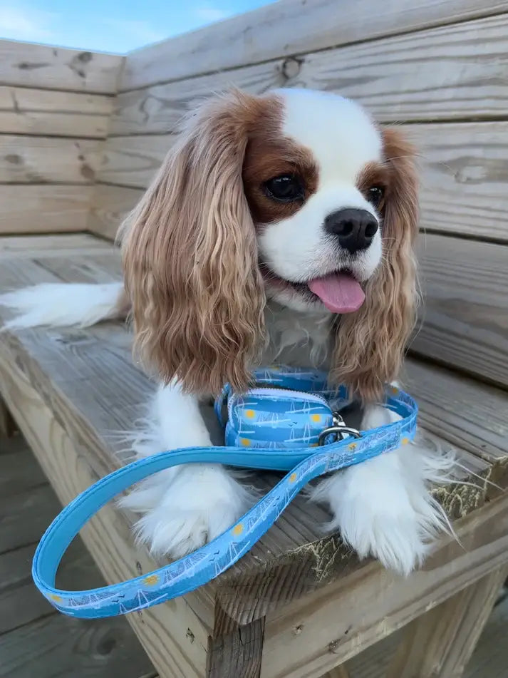 Ravenel Bridge Leash