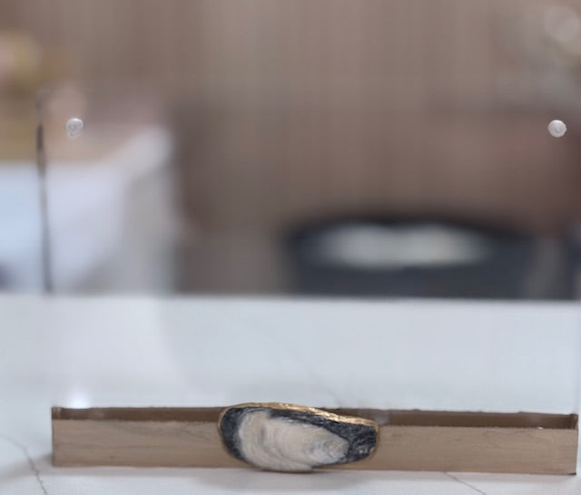 Lowcountry Oyster Shell Frame 5x7