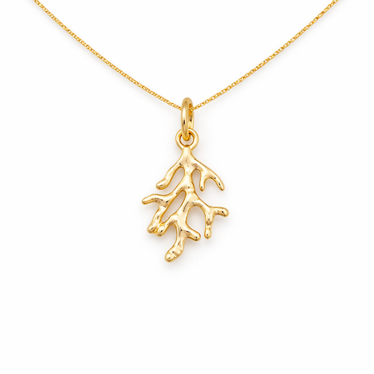 Lovers Coral