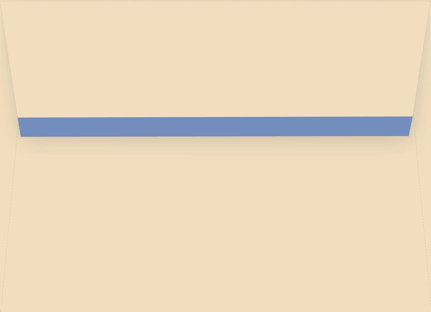 Dogs In Deck Chairs Note Cards