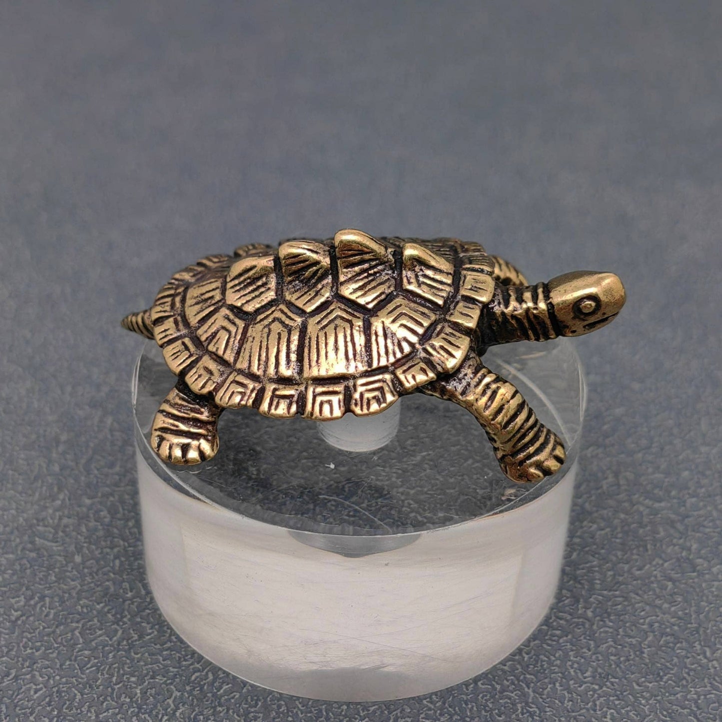 Brass Turtle Desktop Decor