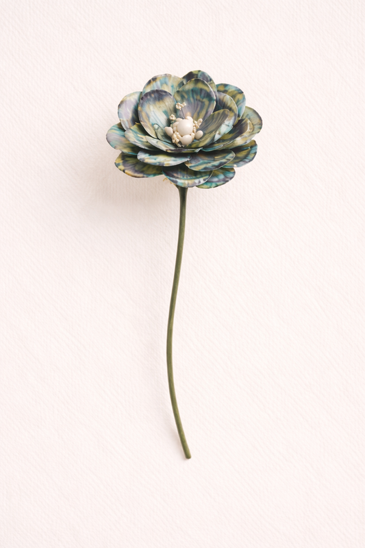 Oyster Blossom