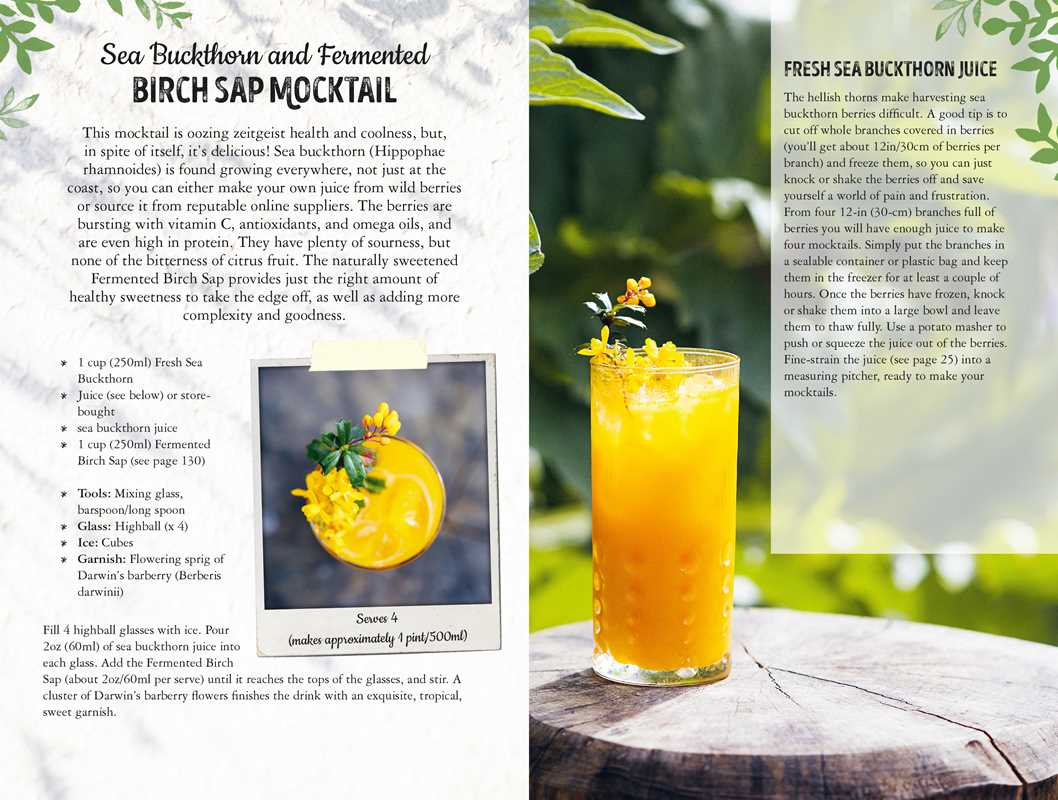 Wild Mocktails by Lottie Muir