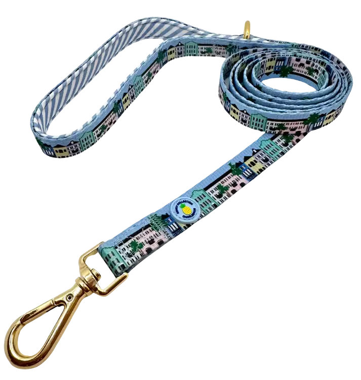 Rainbow Row Leash