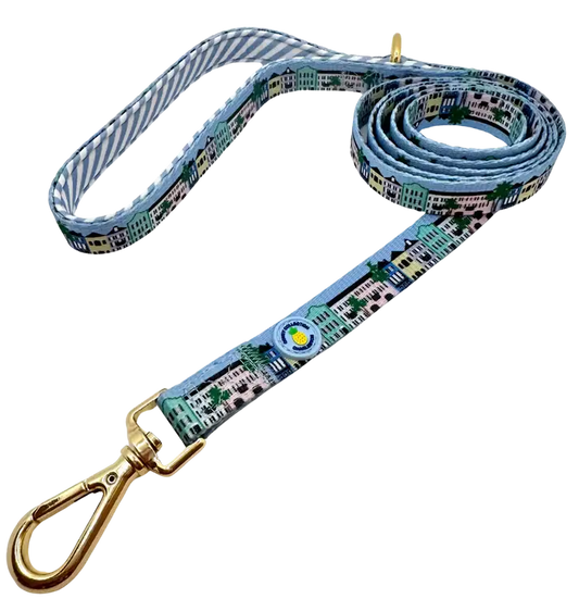 Rainbow Row Leash