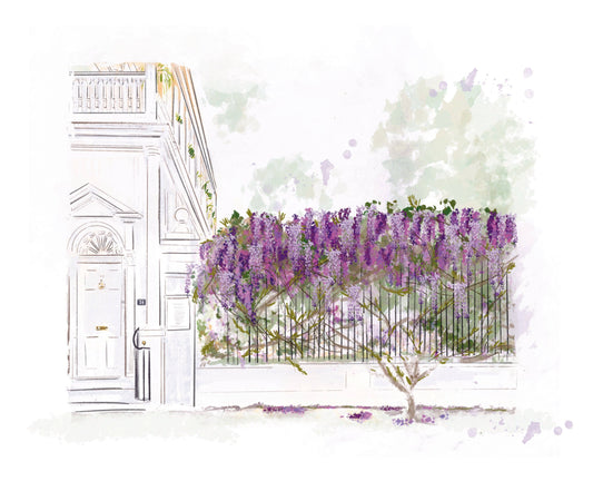 WISTERIA ON MEETING STREET - Art Print