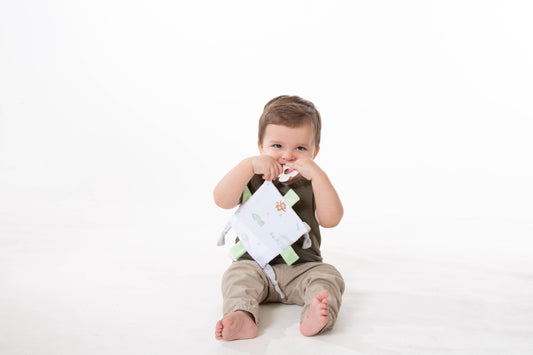 Safari Crinkle Blankie