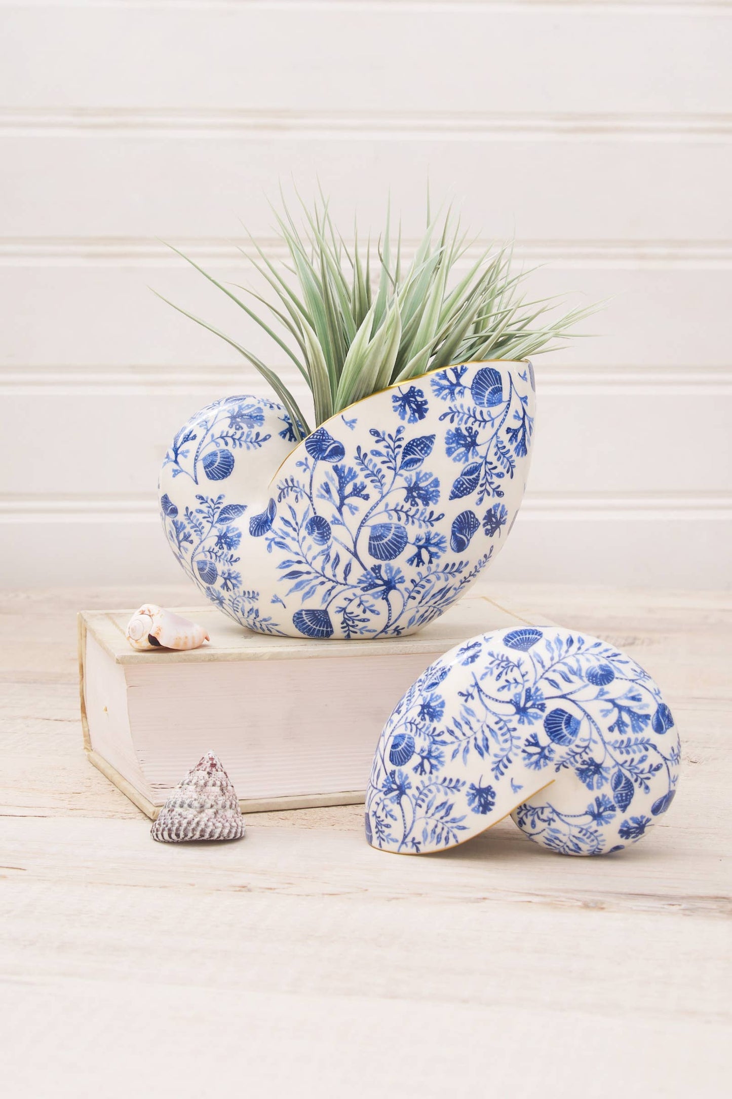 Coastal Chinoiserie Nautilus Shell Top Decorative Figurine