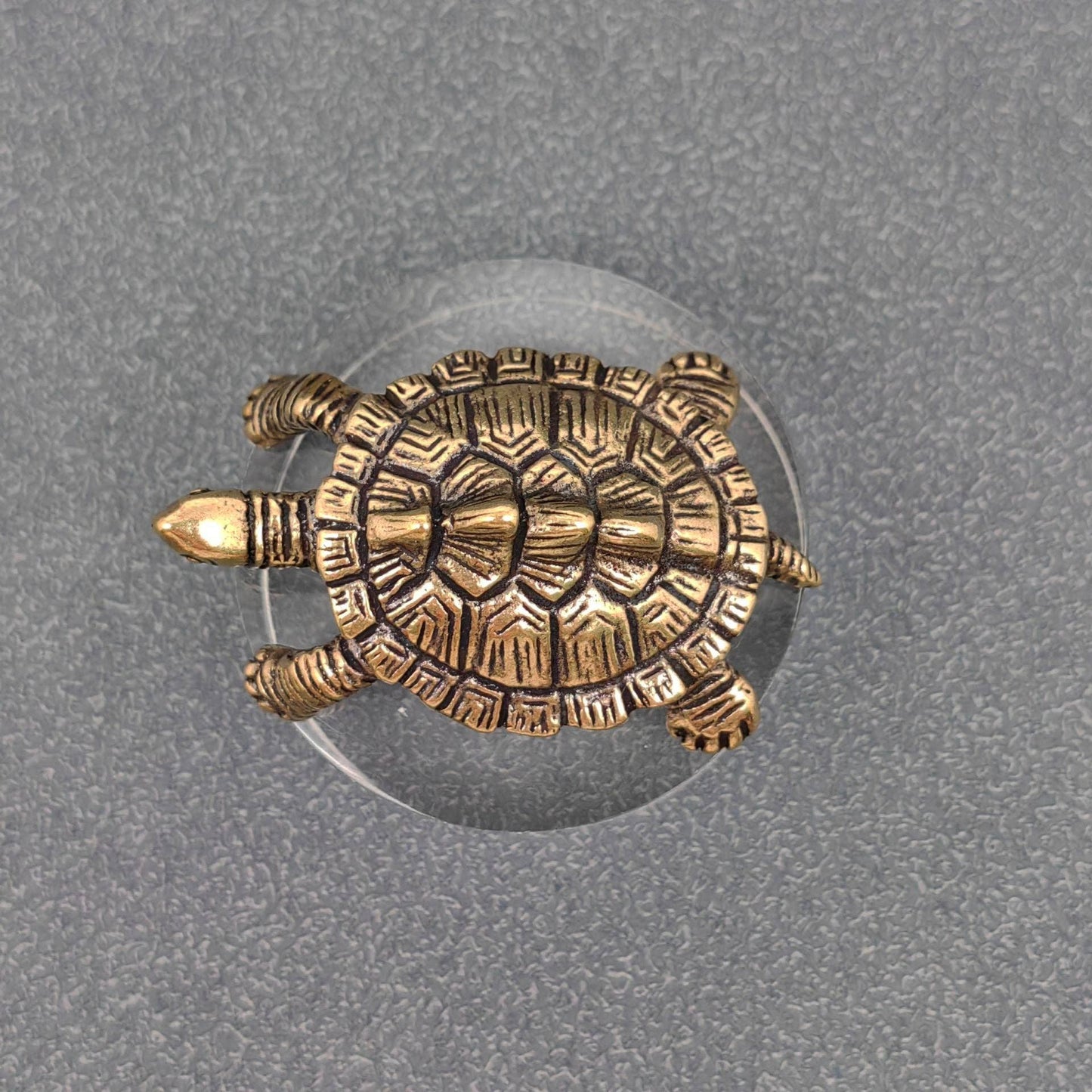 Brass Turtle Desktop Decor