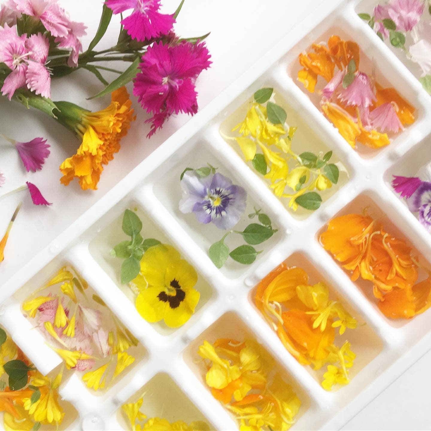 Pocket Garden | Edible Flowers