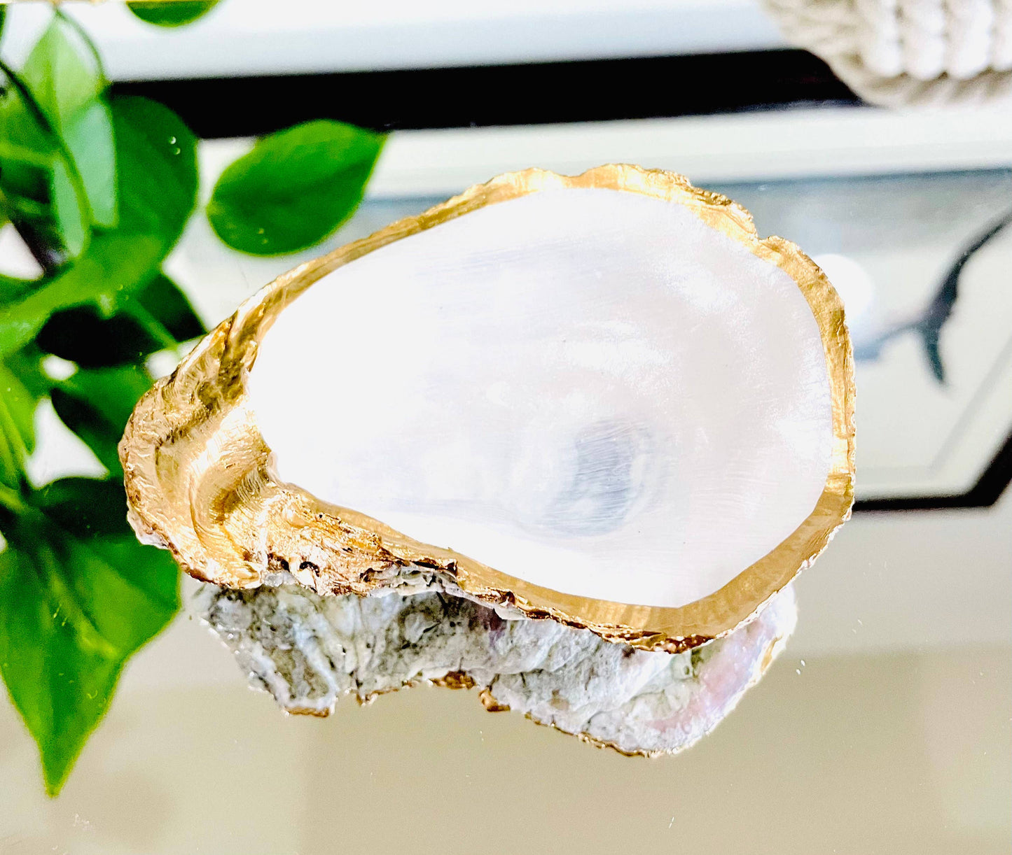 Gold Rim Oyster Shell, Trinket Dish, Ring Dish, Oysters