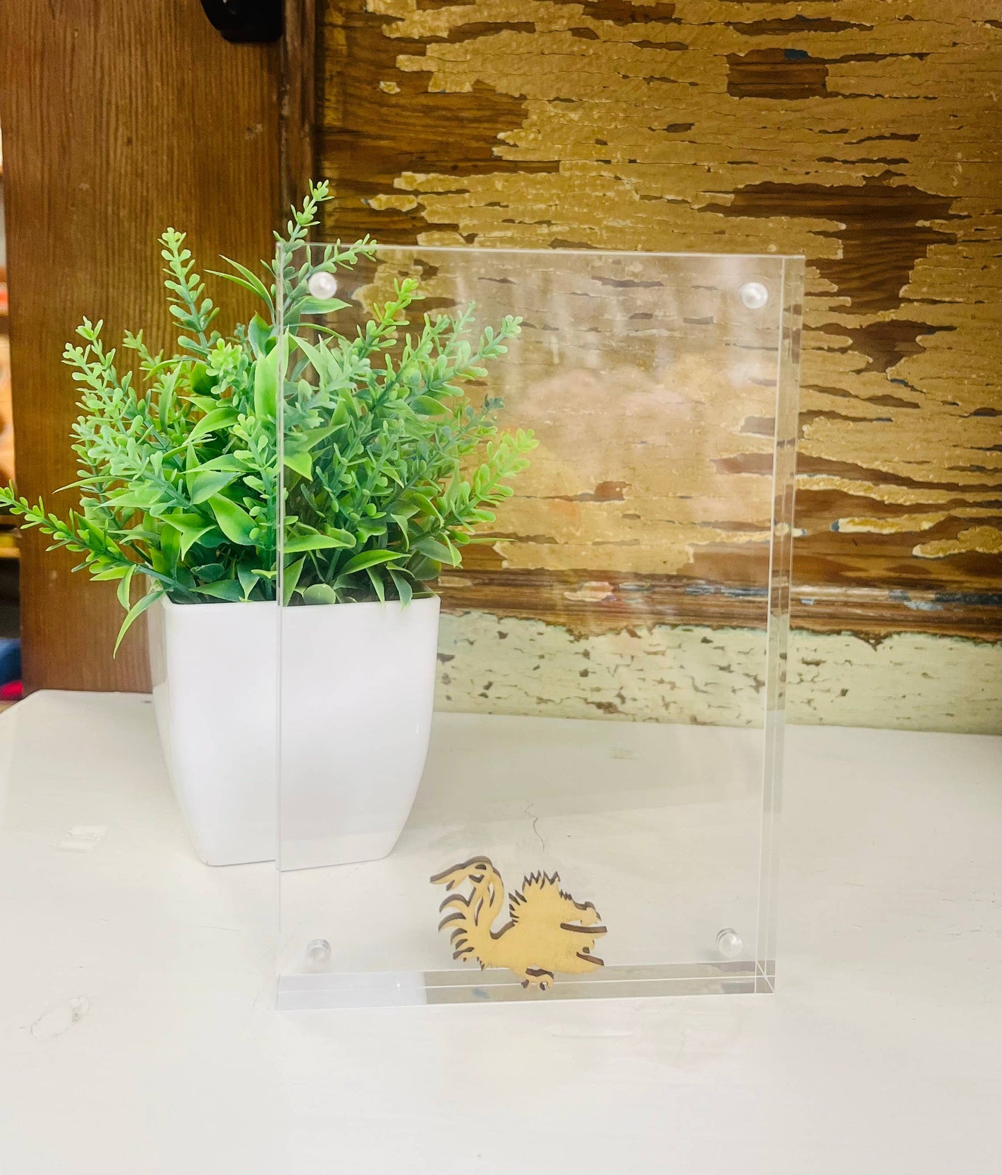 Gamecock Magnetic Acrylic Picture Frame 