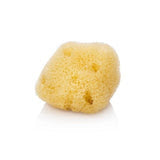 Silk Facial Sea Sponge